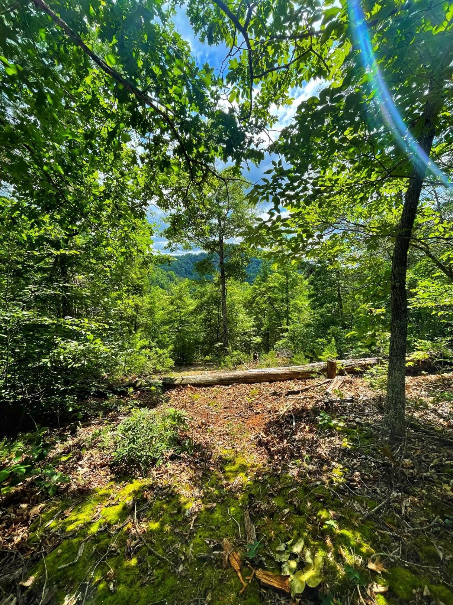 Villa Tiny House, Wifi,Hot Tub,Secluded Cosby Exterior foto