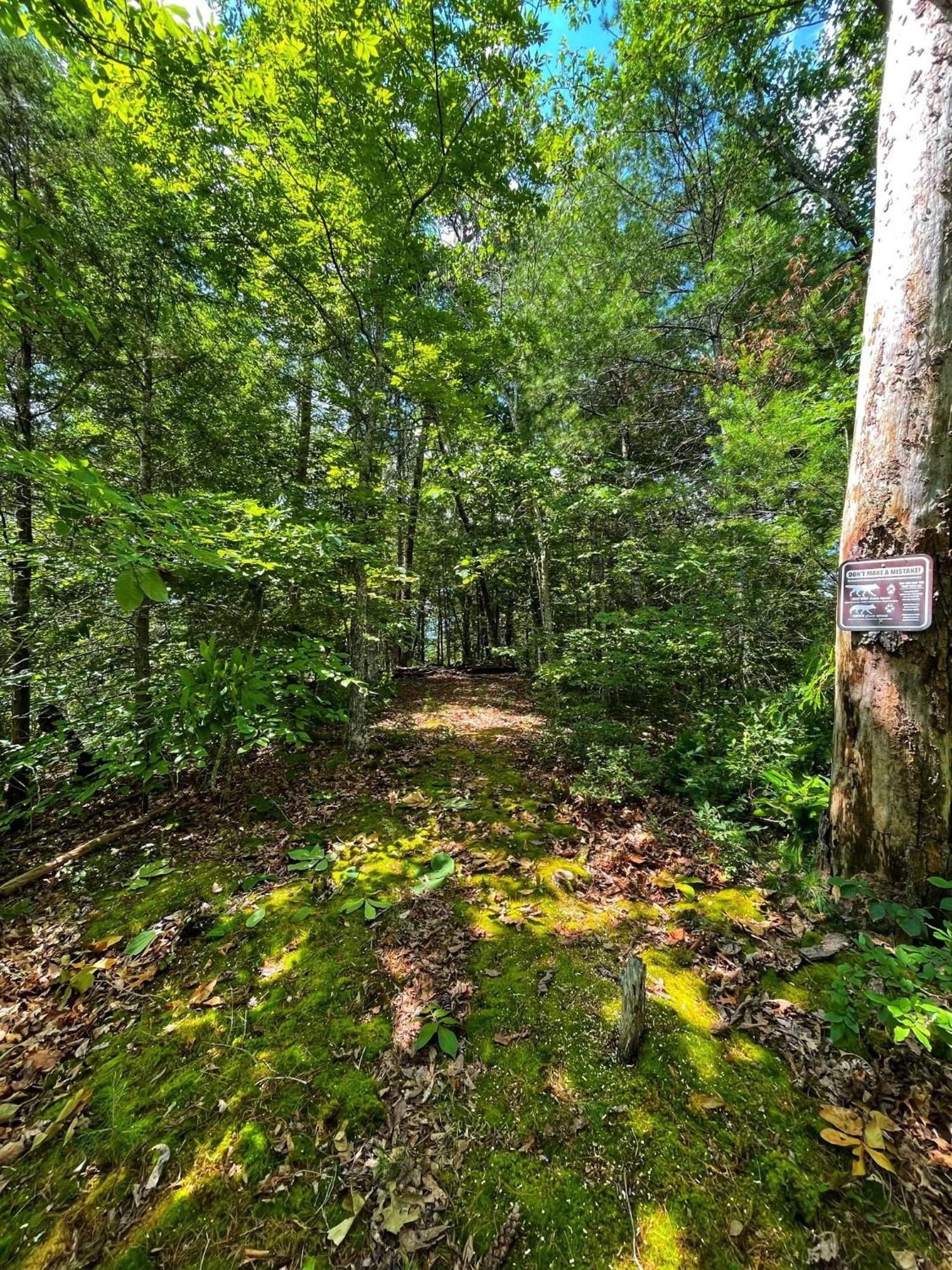Villa Tiny House, Wifi,Hot Tub,Secluded Cosby Exterior foto